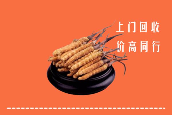 高价求购：隆子县回收散虫草