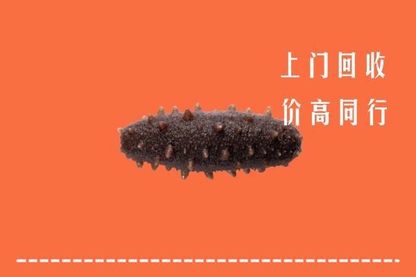 高价求购：隆子县回收海参