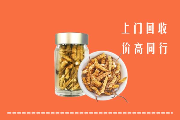 隆子县回收冬虫夏草