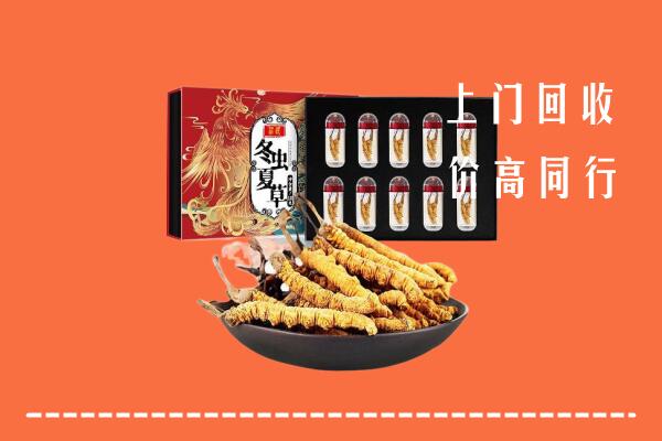 隆子县回收虫草